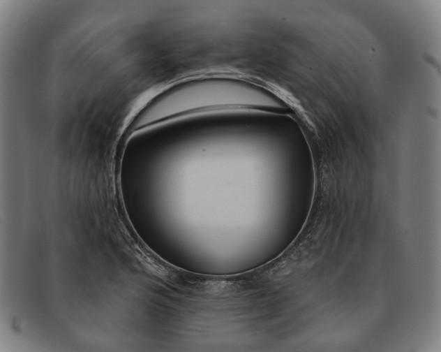X0000091331176200708311431