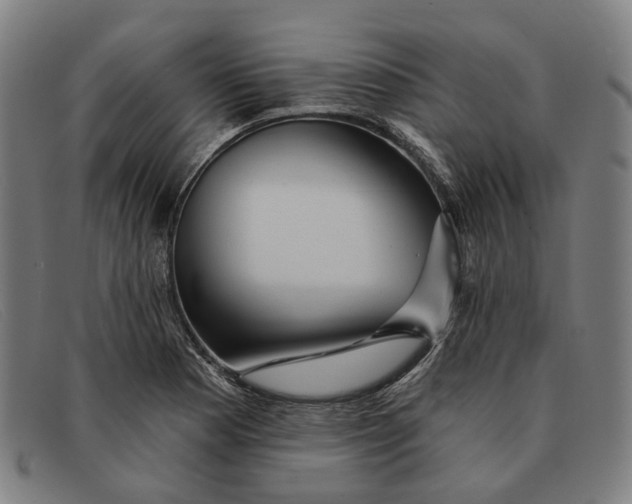 X0000091331177200708311431