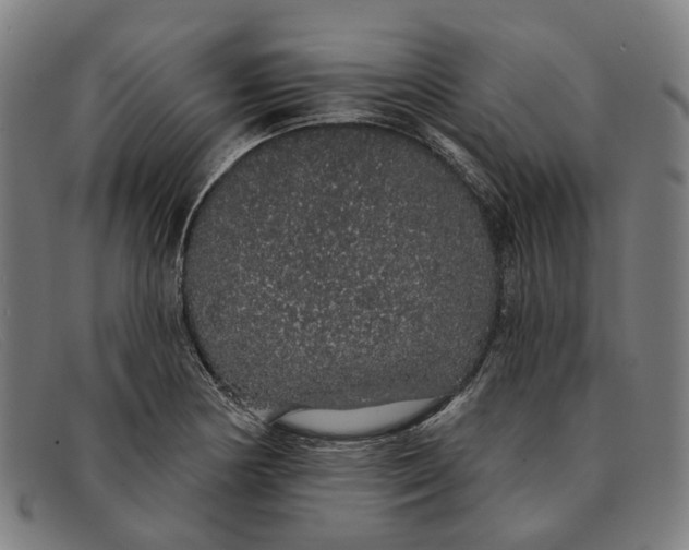 X0000091331178200708311431