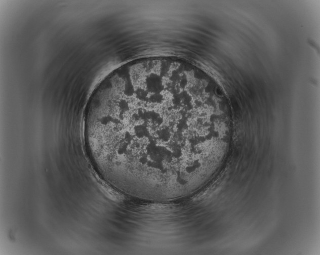X0000091331179200708311431
