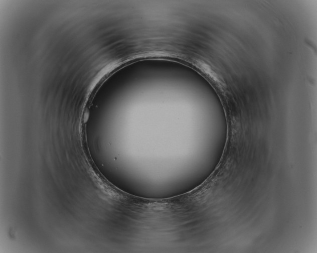X0000091331181200708311431