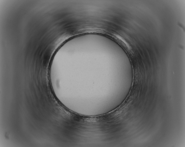 X0000091331182200708311431