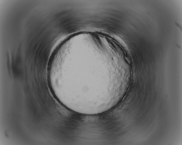 X0000091331183200708311431