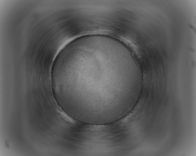 X0000091331184200708311431