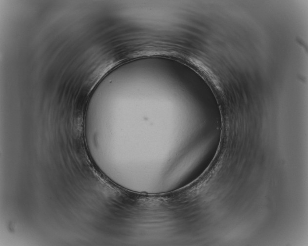 X0000091331185200708311431