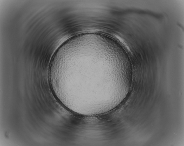 X0000091331186200708311431