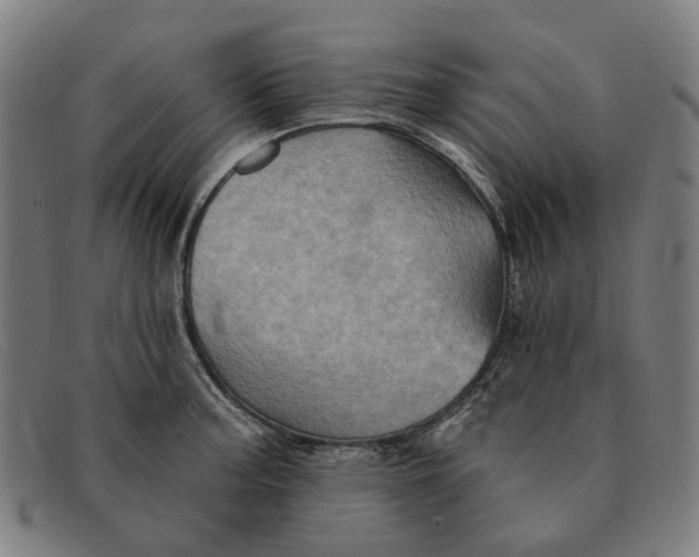 X0000091331187200708311431