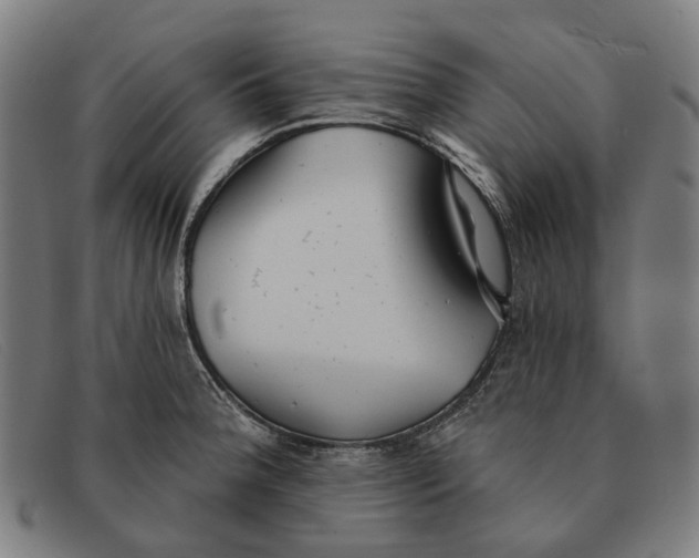 X0000091331188200708311431