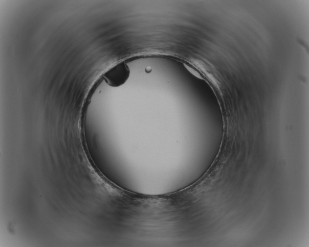 X0000091331189200708311431