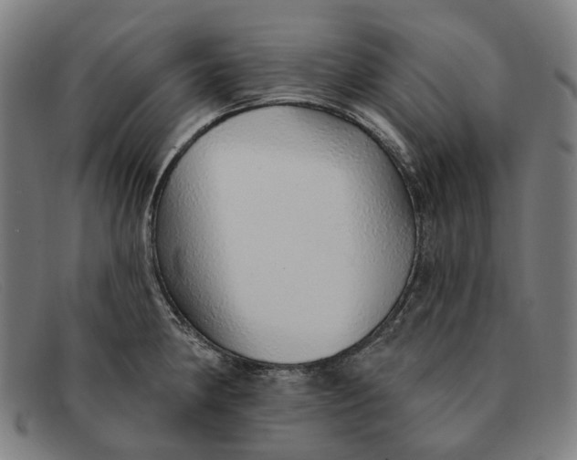 X0000091331190200708311431