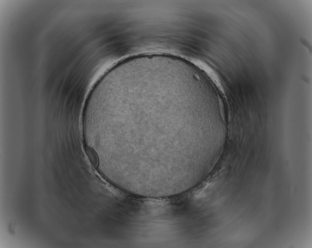 X0000091331191200708311431