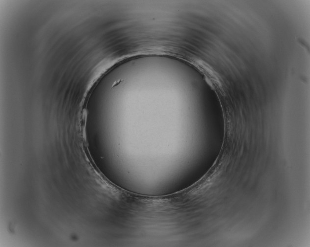 X0000091331192200708311431
