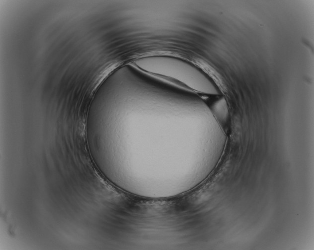 X0000091331193200708311431