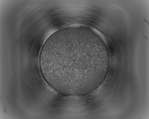 X0000091331194200708311430