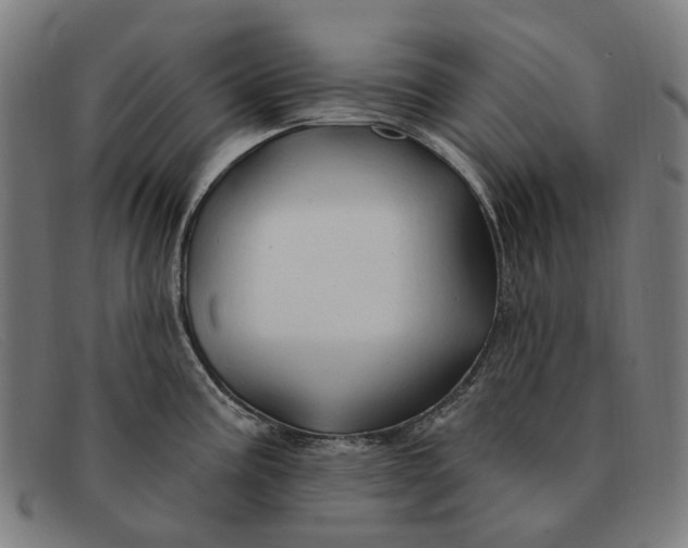 X0000091331195200708311430