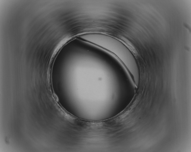 X0000091331196200708311430