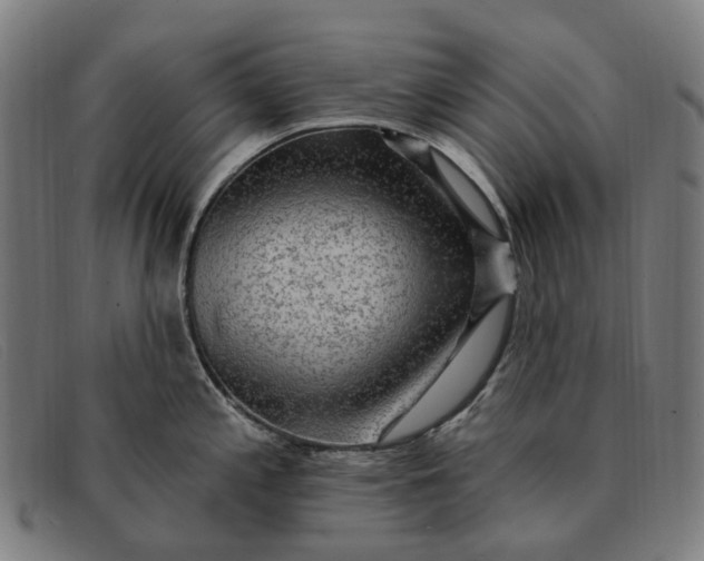 X0000091331197200708311430