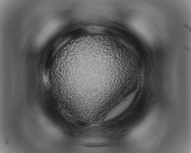 X0000091331198200708311430
