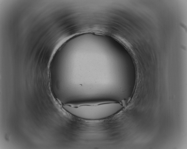 X0000091331200200708311430