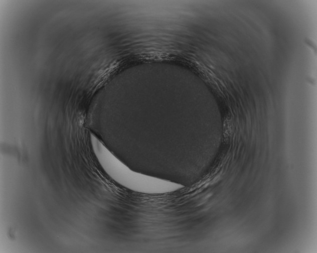 X0000091331202200708311430