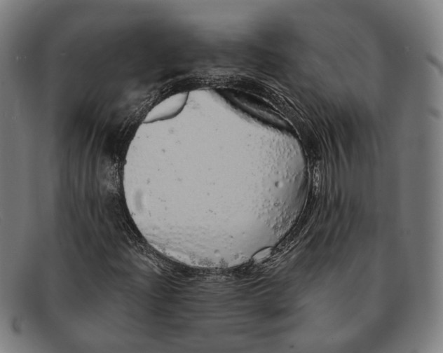 X0000091331204200708311430