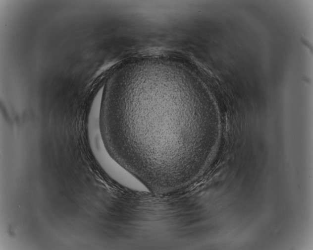 X0000091331206200708311430