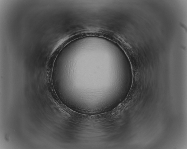 X0000091331208200708311430
