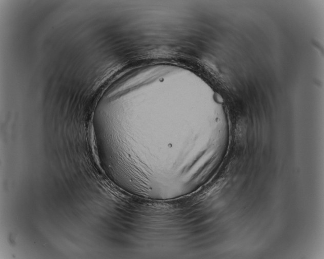 X0000091331209200708311430