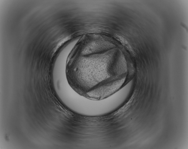 X0000091331210200708311430