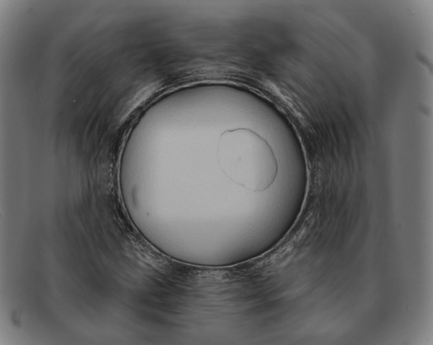 X0000091331211200708311430