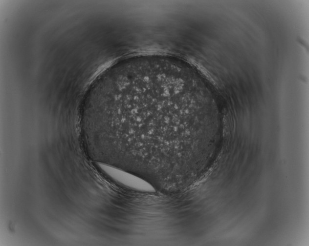 X0000091331213200708311430