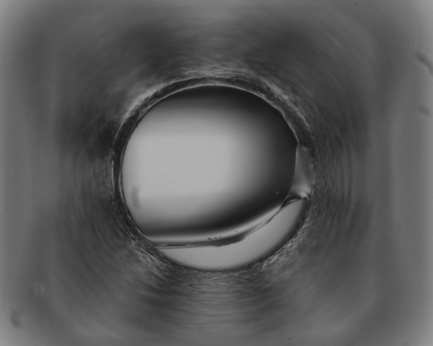 X0000091331214200708311430