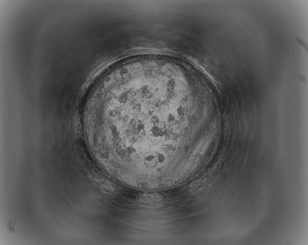 X0000091331215200708311430