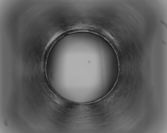 X0000091331216200708311430