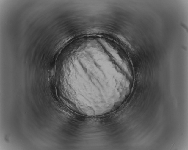 X0000091331217200708311430
