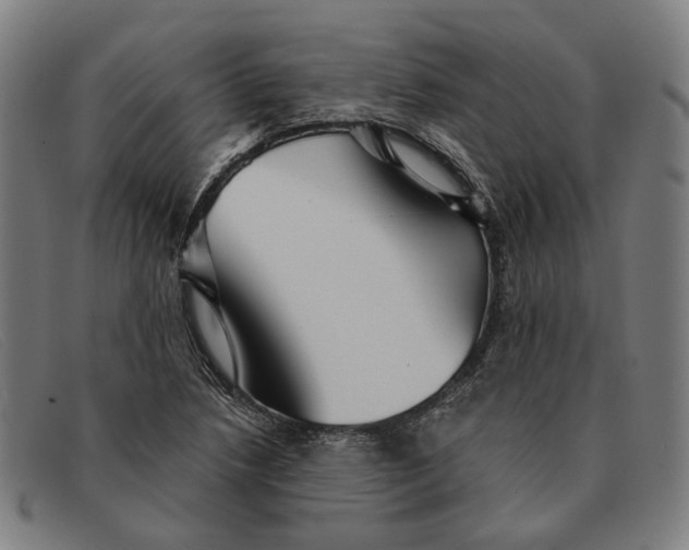 X0000091331218200708311430
