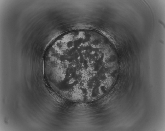 X0000091331219200708311430