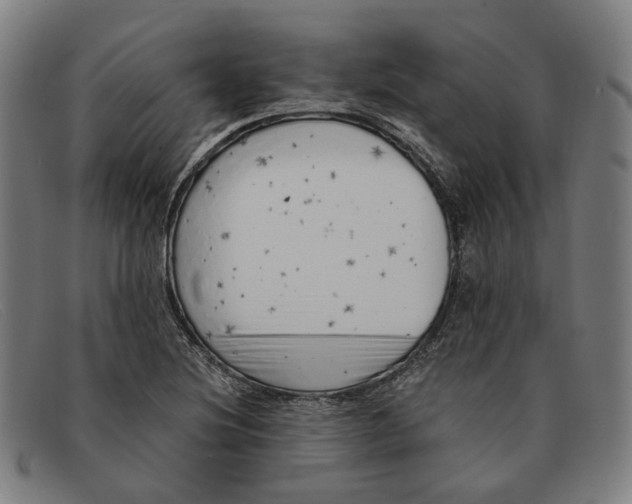 X0000091331220200708311430
