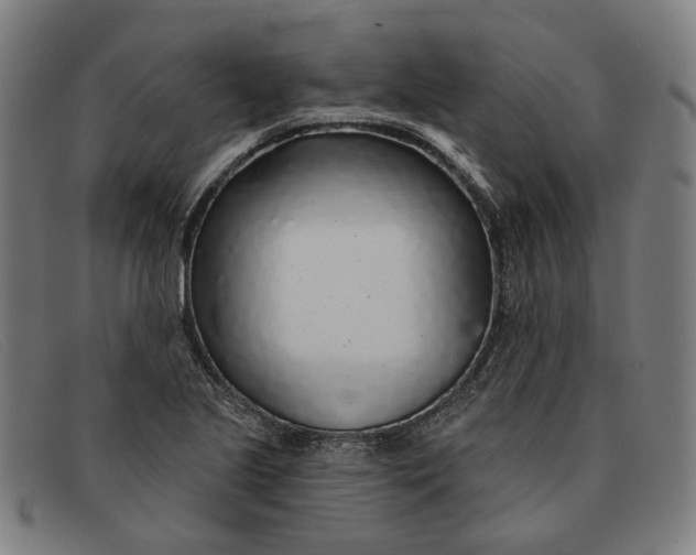 X0000091331221200708311430