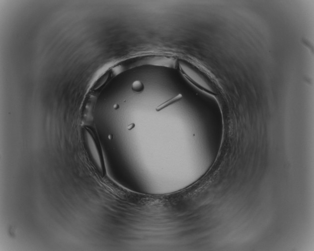 X0000091331222200708311430