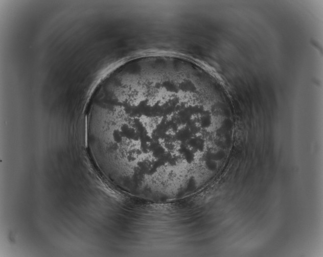 X0000091331223200708311430