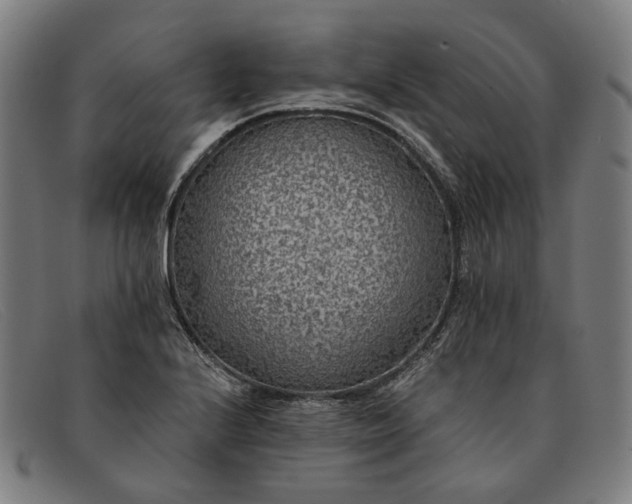X0000091331224200708311430