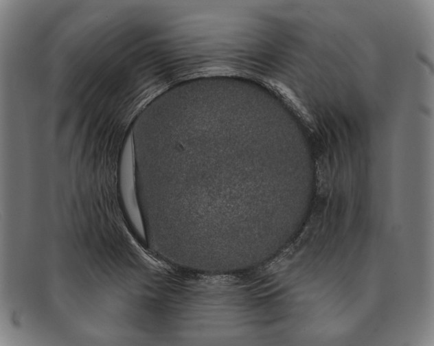 X0000091331225200708311430