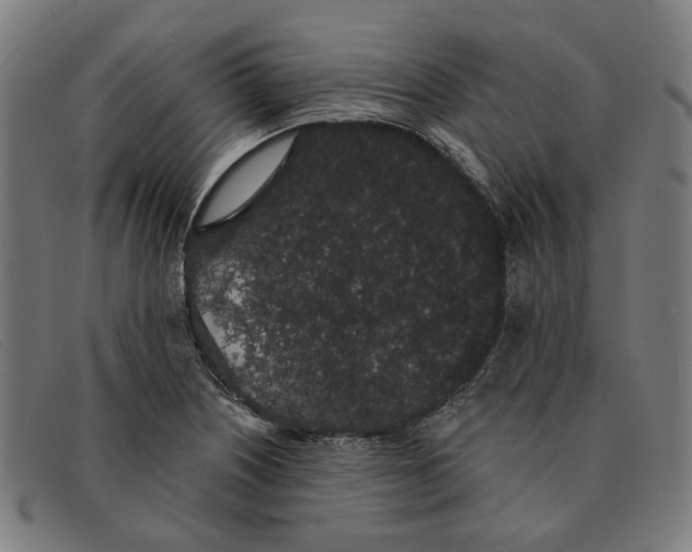 X0000091331226200708311430
