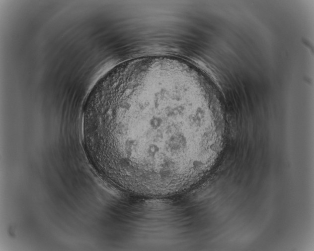X0000091331227200708311430