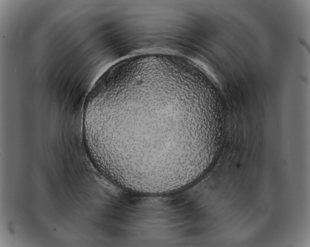 X0000091331228200708311430