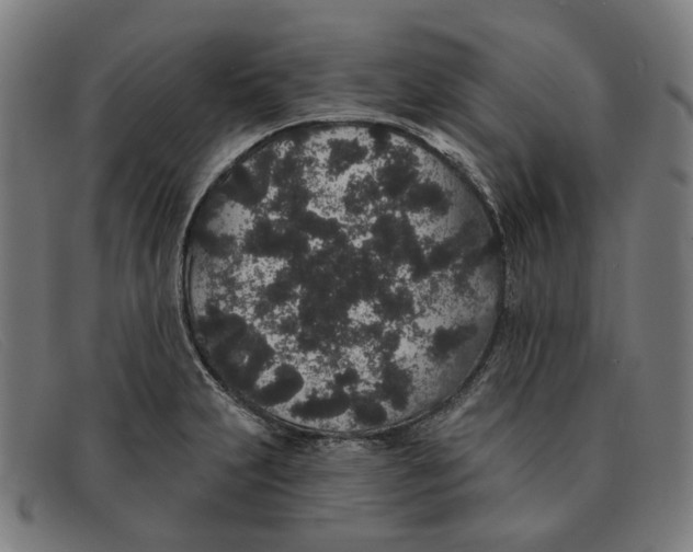 X0000091331231200708311430