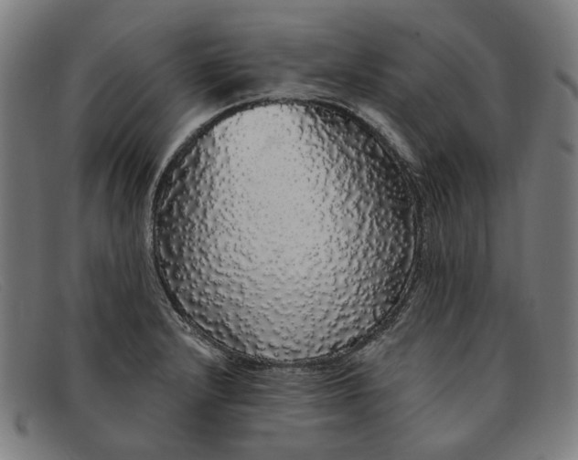 X0000091331232200708311430