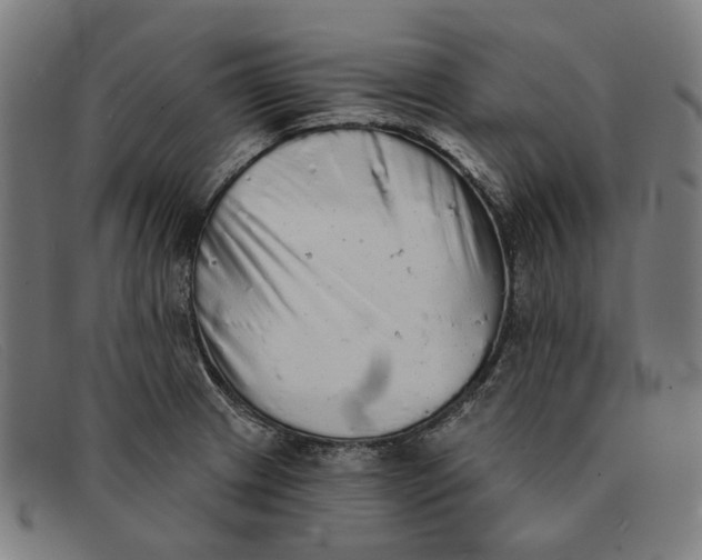 X0000091331233200708311430
