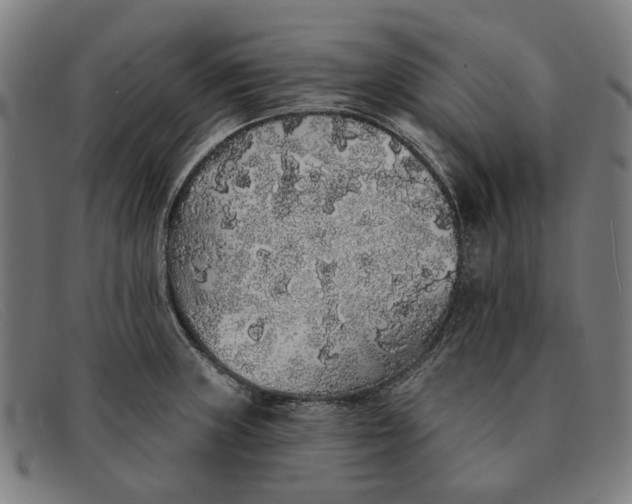 X0000091331235200708311430